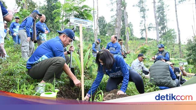 Hijaukan Desa Besakih, Pertamina Tanam 200 Pohon di Kaki Gunung Agung