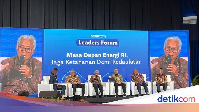 Mau Genjot Produksi Migas, Bos PHE Singgung Perizinan-Lahan Pertanian