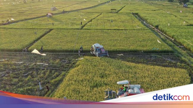 ADB Kucurkan Pendanaan Ketahanan Pangan di Asia Pasifik Jadi Rp 656 T
