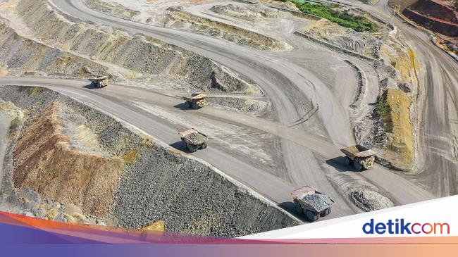 Top! AMMAN Masuk Daftar Perusahaan Paling Terpercaya di Dunia