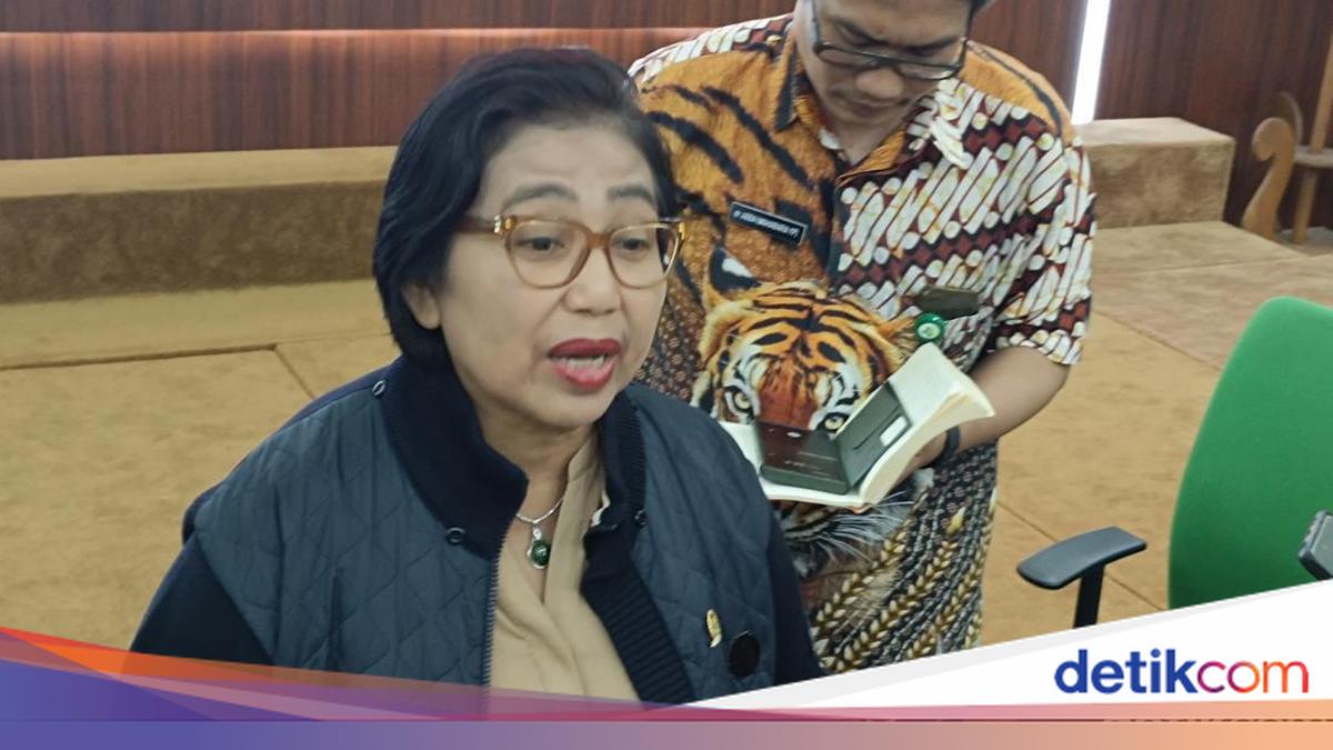 BGN Usul Sopir MBG Pakai Kostum Power Rangers, NasDem: Memang Ada Kaitannya?