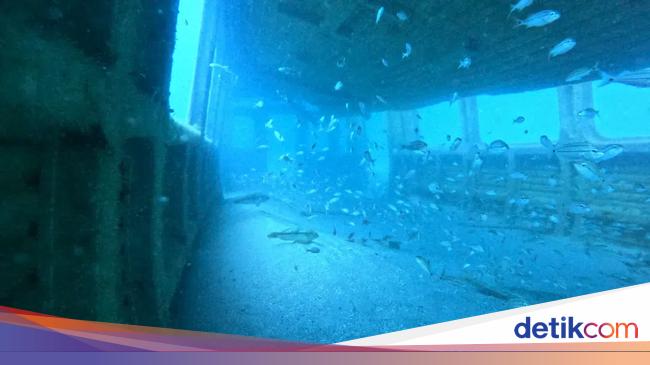 Gerbong Kereta Ditenggelamkan, Jadi Rumah Penyu dan Terumbu Karang di Atlantik