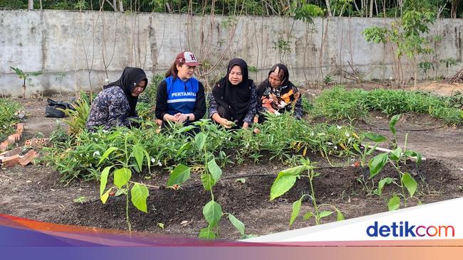 Ibu-ibu Ini Sulap Tanaman Obat Jadi Produk Herbal, Cuan Jutaan Per Bulan