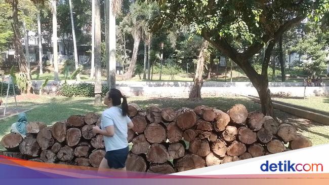 Taman di Jakarta Diusulkan Dibuka 24 Jam, Warga: Aman Nggak? Angker Nggak?