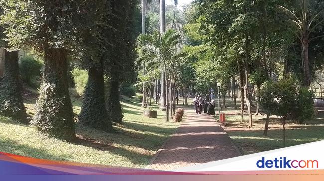 Merasakan Suasana Asri dengan Berolahraga di Taman Langsat