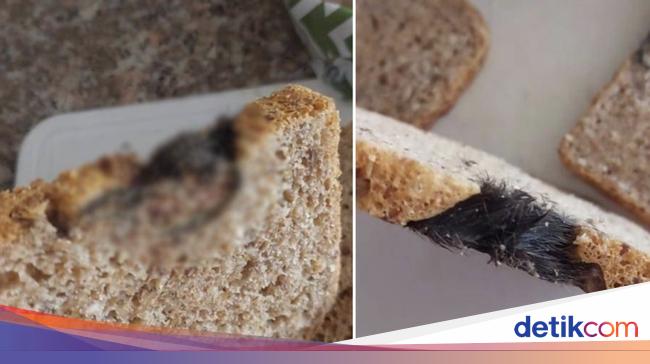 Jijik! Potongan Tikus Ditemukan di Lembaran Roti Tawar Kemasan