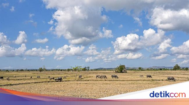 Hari Meteorologi Sedunia 23 Maret 2025: Tema dan Cara Merayakan