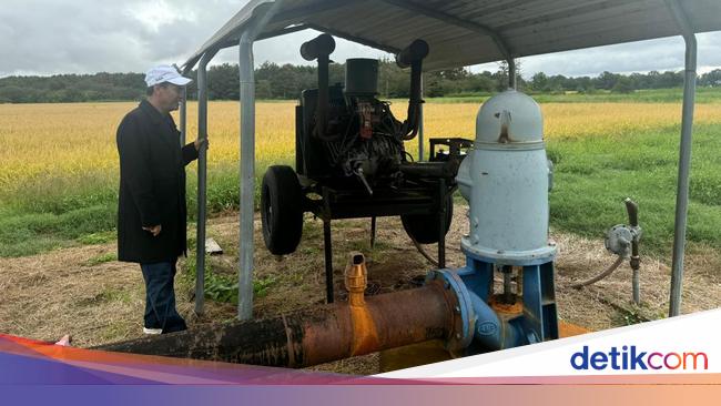 Pompanisasi Kementan Sejalan dengan Praktik Pertanian Modern Arkansas