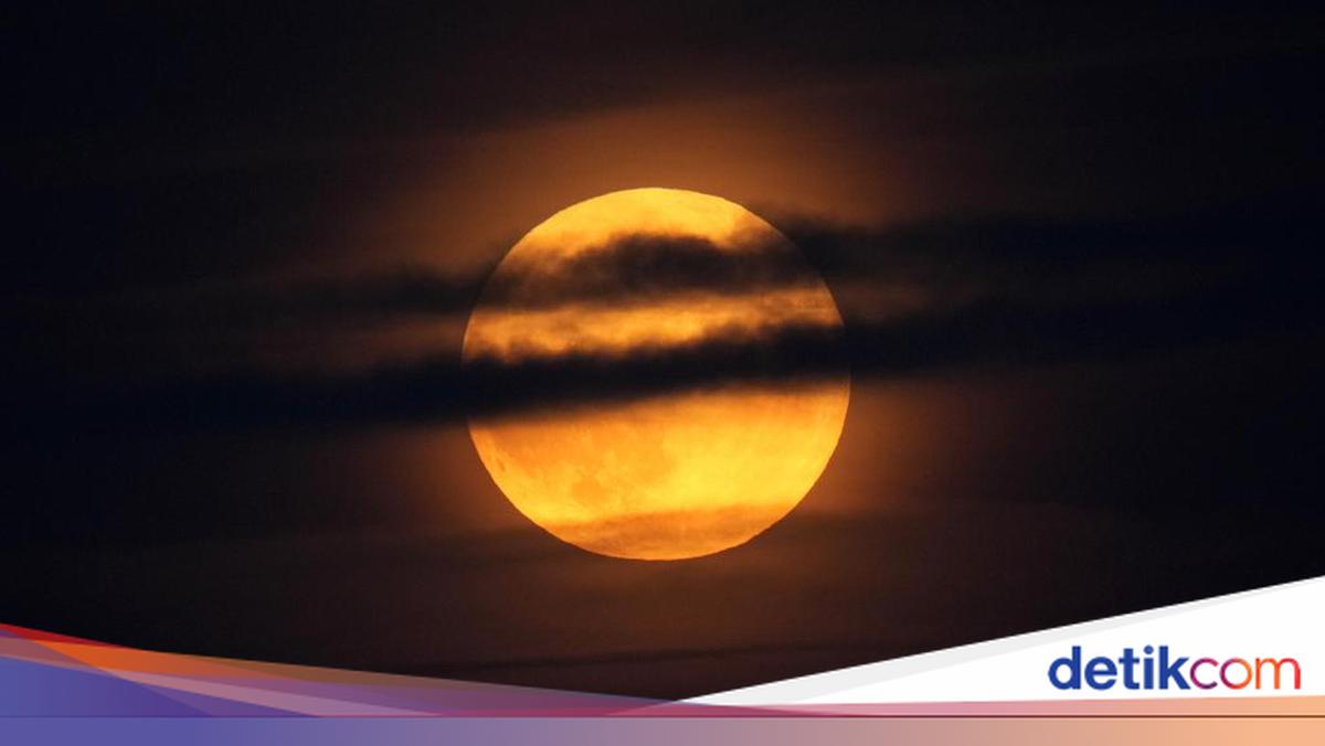 Ada Supermoon 5 November, Ini Jadwal dan Cara Melihatnya di Indonesia