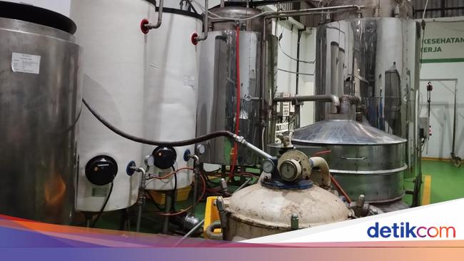 Melihat Proses Pembuatan Produk Susu Ikan di Pabrik Indramayu