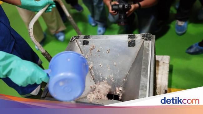 Produsen Sebut Sudah Produksi Susu Ikan Sejak Tahun Lalu