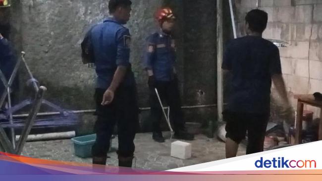 Panik Ular Masuk Pekarangan Rumah, Warga Cibinong Bogor Lapor Damkar