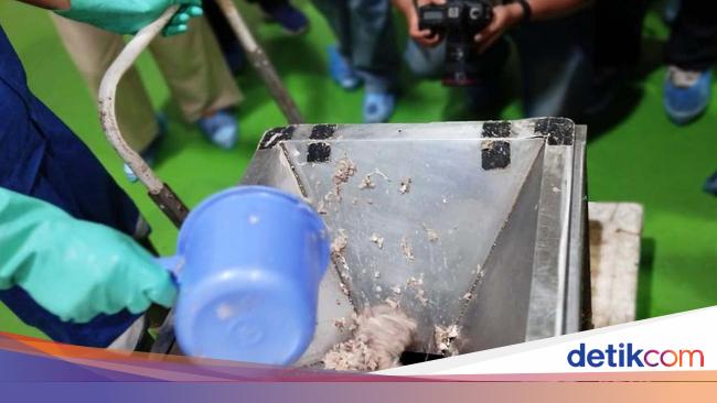 KKP Klaim Banyak Pengusaha Minat Bangun Pabrik Bahan Baku Susu Ikan
