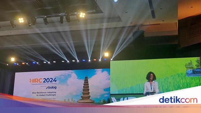 Bank Dunia: Harga Beras Indonesia Konsisten Tertinggi di ASEAN