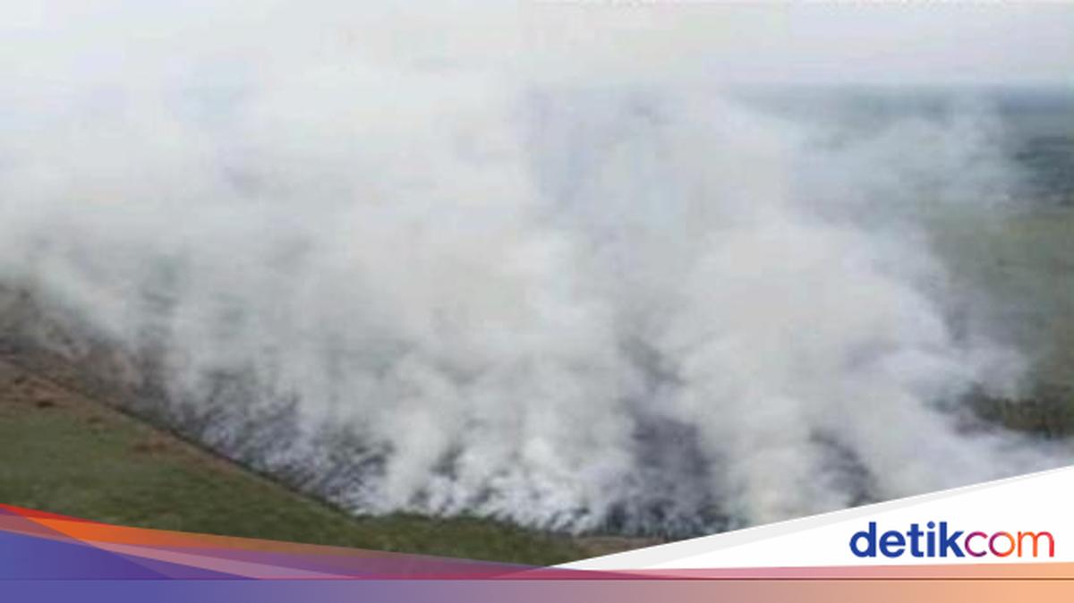 Bakar Lahan Tebu Jelang Panen Jadi Biang Kerok Karhutla di Sumsel