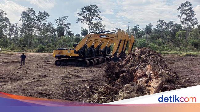 Ada Haji Isam di Proyek Cetak Sawah 1 Juta Hektare, Ini Perannya