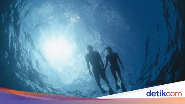 Hari Kelautan Nasional 2 Juli: Sejarah, Tujuan, dan Cara Merayakan