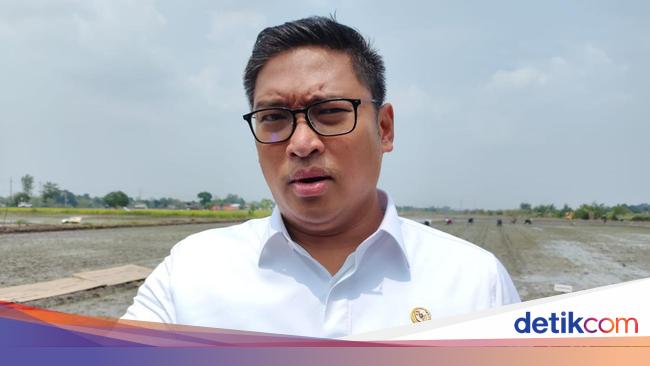 Wamentan Sudaryono Usul Bulog-Pupuk Indonesia di Bawah Kementerian Pertanian