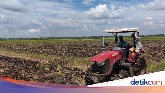Mengintip Proyek Lumbung Padi di Merauke, Asa RI Gapai Swasembada Pangan