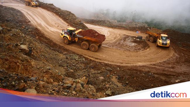 Eramet: RI Berperan Penting Menjamin Ketersediaan Pasokan Nikel Dunia