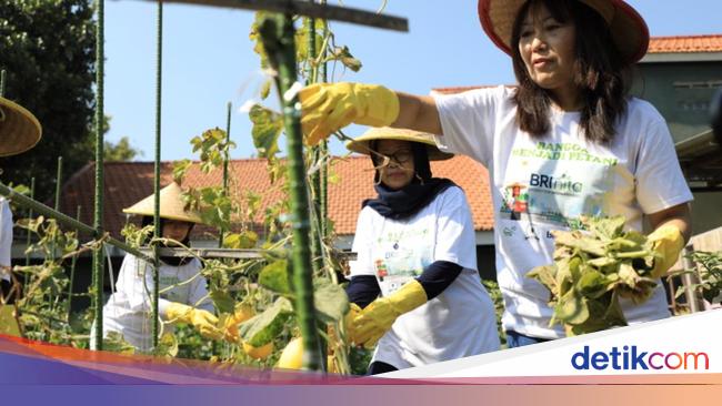 Upaya BRI Dukung Pemberdayaan Wanita-Jaga Lingkungan Berbuah Penghargaan