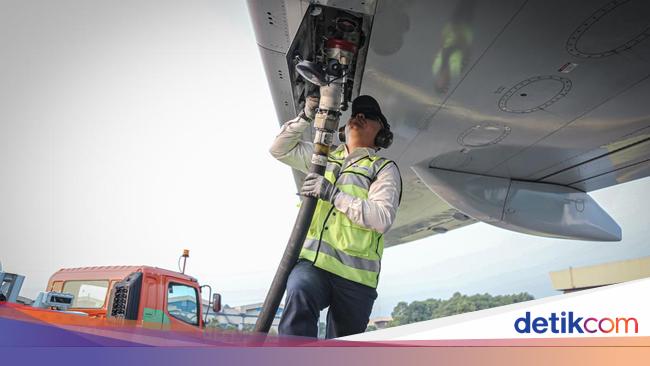 Pemerintah Bakal Kembangkan Bioavtur dari Rumput Laut