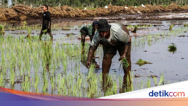 Prabowo Tawarkan Kerja Sama Proyek Food Estate ke PM Singapura
