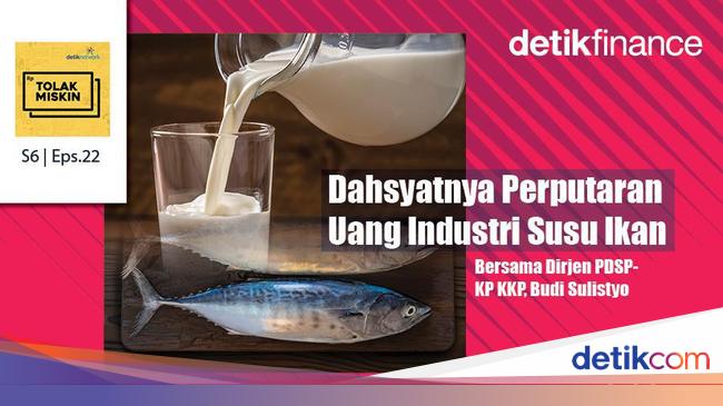 Podcast: Dahsyatnya Perputaran Uang Industri Susu Ikan