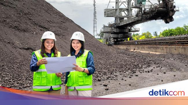 Batu Bara Si Emas Hitam, Tulang Punggung Ketahanan Energi Nasional RI