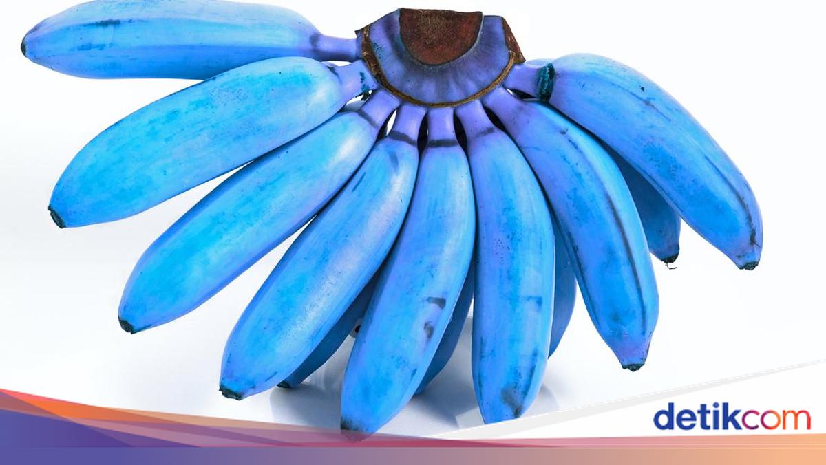 4 Pisang Terbaik di Asia Tenggara, Nomor 1 Bukan dari Indonesia