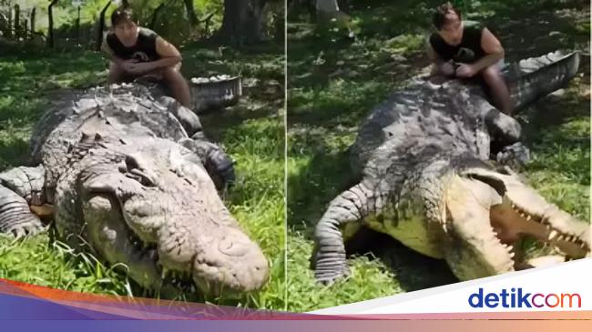 Happy Birthday! Henry Si Buaya Tertua Dunia Bakal Ultah ke-125 Tahun