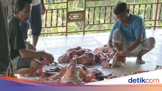 Harga Daging Babi Naik Jadi Rp 110 Ribu per Kg Saat Penampahan Kuningan