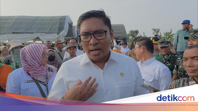 Wamentan Ungkap Arahan Tegas Prabowo: Food Estate Harus Dilaksanakan!