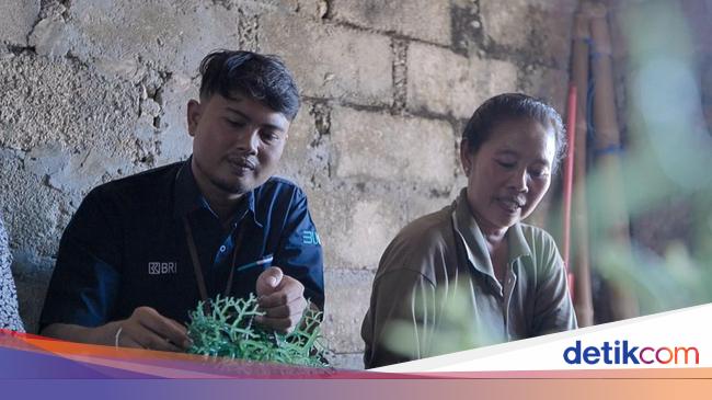 Pemberdayaan BRI Genjot Produksi Klaster Usaha Rumput Laut Semaya di Bali