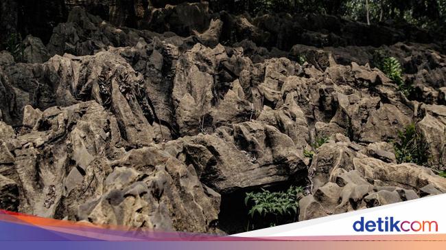 Terpopuler Sepekan: 5 Wisata Alam Alternatif Puncak