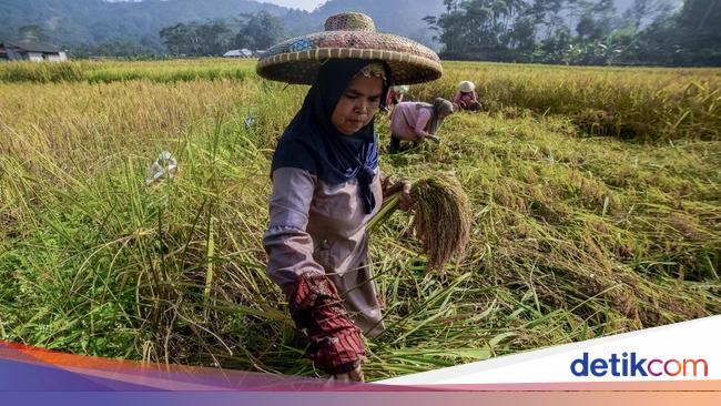 Menjaga Ketahanan Pangan Keluarga