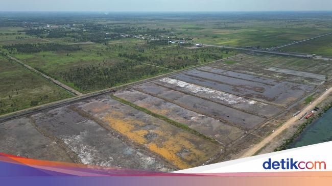 Ombudsman Dukung Cetak Sawah Bangun Irigasi untuk Genjot Produksi Padi