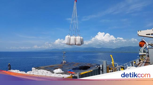 RI Ekspor Wood Pellet ke Jepang