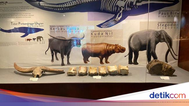 Eksistensi Museum Sri Baduga Jadi Alternatif Wisata Edukasi di Bandung