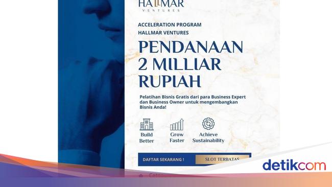 Raih Pendanaan untuk Binsis hingga Rp 2 Miliar dari Hallmar Ventures