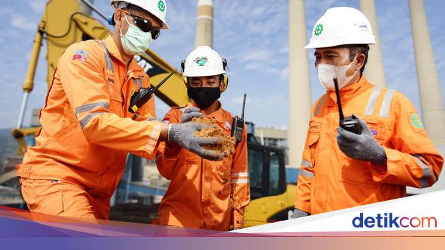 Cara RI Kejar Energi Bersih, Pakai Biomassa Jadi Bahan Bakar PLTU