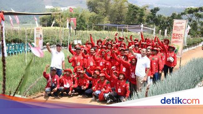 Festival Panen Makmur Digelar, Petani Lokal Siap Menuju Pertanian Modern