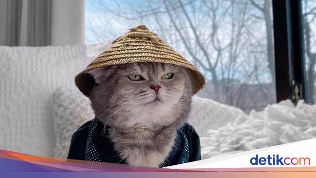 Gemasnya Benson, Kucing yang Selalu 'Sadar Kamera'