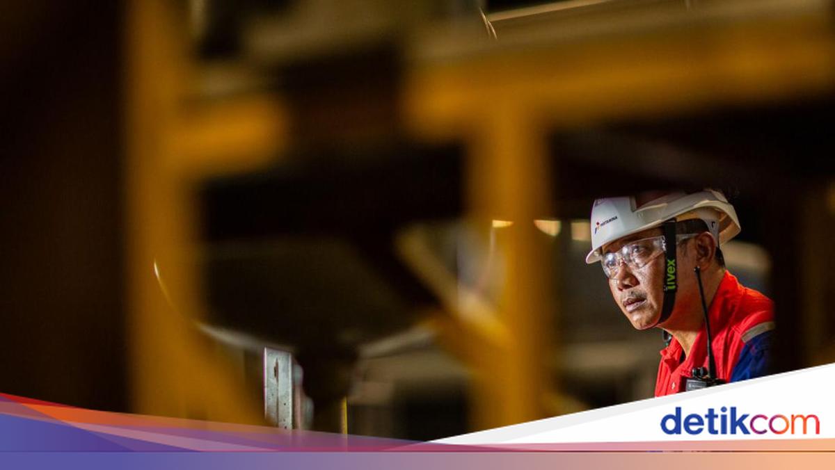 Begini Langkah Subholding Gas Jaga Kinerja Infrastruktur Pipa Minyak ...