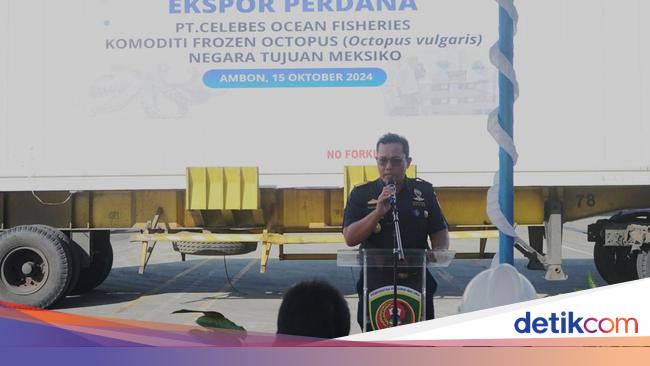 Ekspor Perdana 15,83 Ton Gurita Beku Jadi Harapan Baru Perekonomian Maluku
