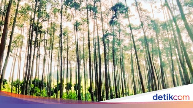Batu Kuda, Wisata Alam buat Libur Akhir Pekan di Bandung