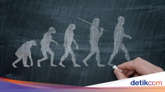 Hari Antropologi Sedunia 2025: Sejarah dan Cara Memperingati