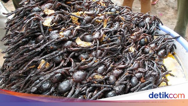 Terungkap! 10 Negara dengan Makanan Paling Tidak Enak Menurut Turis
