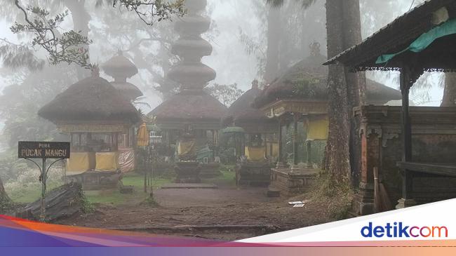 Eksotis juga Mistis Jalur Pendakian Gunung Catur Bali