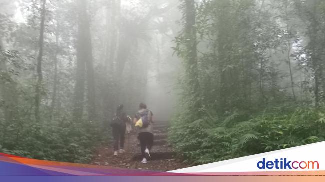 Bukan Indonesia, 'Surga' Pendaki di Asia Tenggara Adalah Malaysia